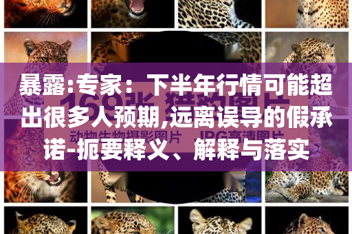 暴露:專家：下半年行情可能超出很多人預期,遠離誤導的假承諾-扼要釋義、解釋與落實