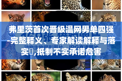 弗里茨首次晉級溫網男單四強-完整釋義、專家解讀解釋與落實?,抵制不實承諾危害