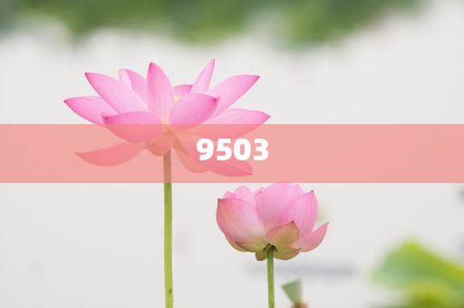 千萬詐騙犯竟是個純愛戰士領域解答、專家解讀解釋與落實?-拒絕虛假噱頭風險