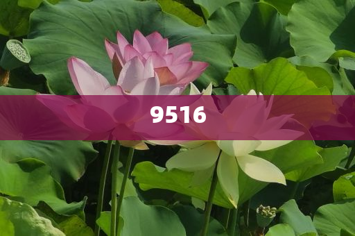 防范:非洲國家看好中國出境游潛力,杜絕誤導性誘導-規范釋義、專家解析解釋與落實?