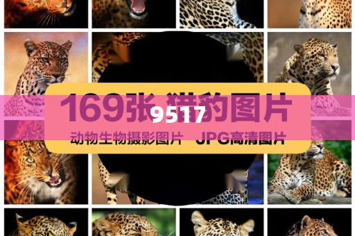 6組數據透視中國市場吸引力-閉環剖析、專家解讀解釋與落實,遠離虛假的假承諾牌
