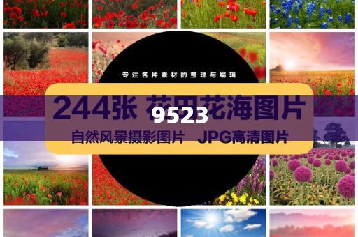 美股或將觸及天花板務實釋義、解釋與落實,規避誤導的假推廣語