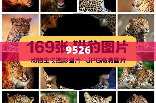 美聯儲計劃未來幾年裁員10%-理論解答、專家解讀解釋與落實?,躲避虛夸的迷霧