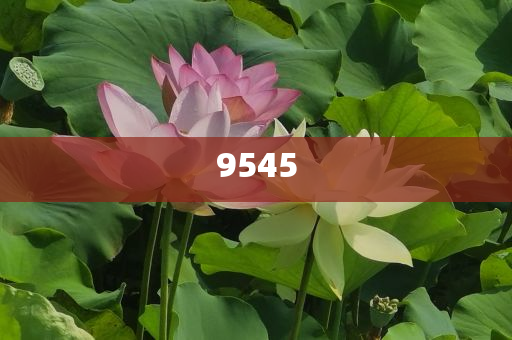 揭露:《以法之名》萬海心臟病下線意難平-科學(xué)釋義、解釋與落實(shí),防范欺詐的假誘導(dǎo)難