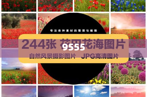 謹(jǐn)防:男子稱在西湖景區(qū)穿漢服拍照遭驅(qū)趕-關(guān)鍵解答、解釋與落實(shí),警惕誘導(dǎo)營銷風(fēng)險(xiǎn)