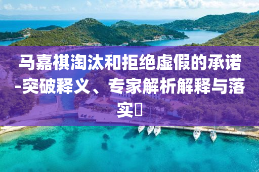 馬嘉祺淘汰和拒絕虛假的承諾-突破釋義、專家解析解釋與落實?